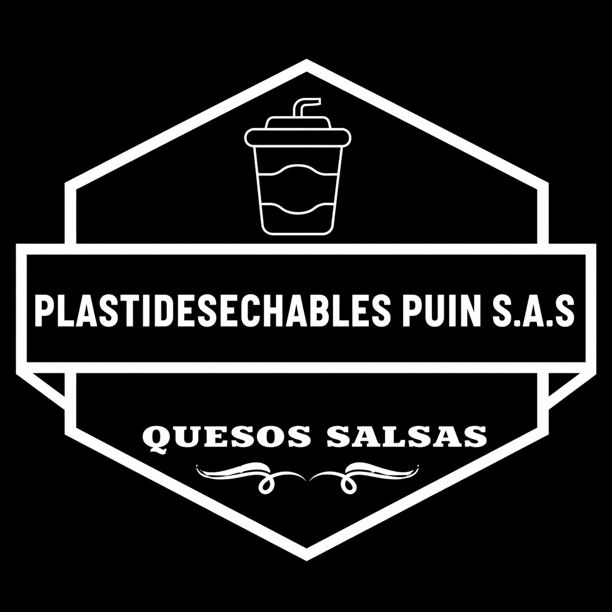 Contabilidad mensual integral para Plastidesechables Puin S.A.S